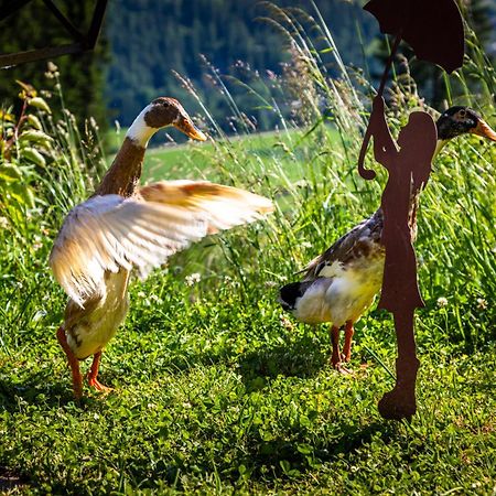 Gschwandtgut Urlaub Am Bauernhof Villa Schwemmberg Bagian luar foto