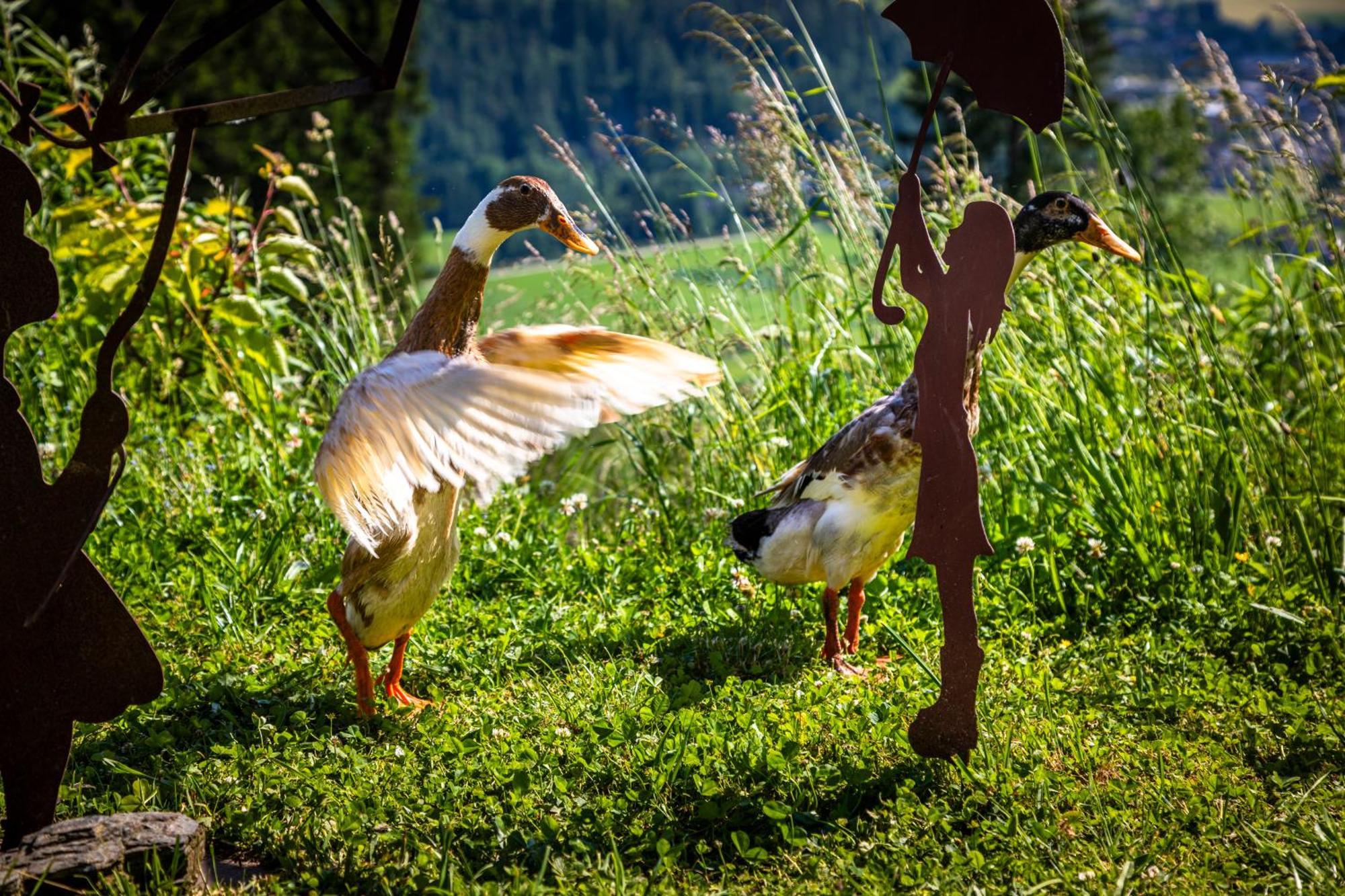 Gschwandtgut Urlaub Am Bauernhof Villa Schwemmberg Bagian luar foto