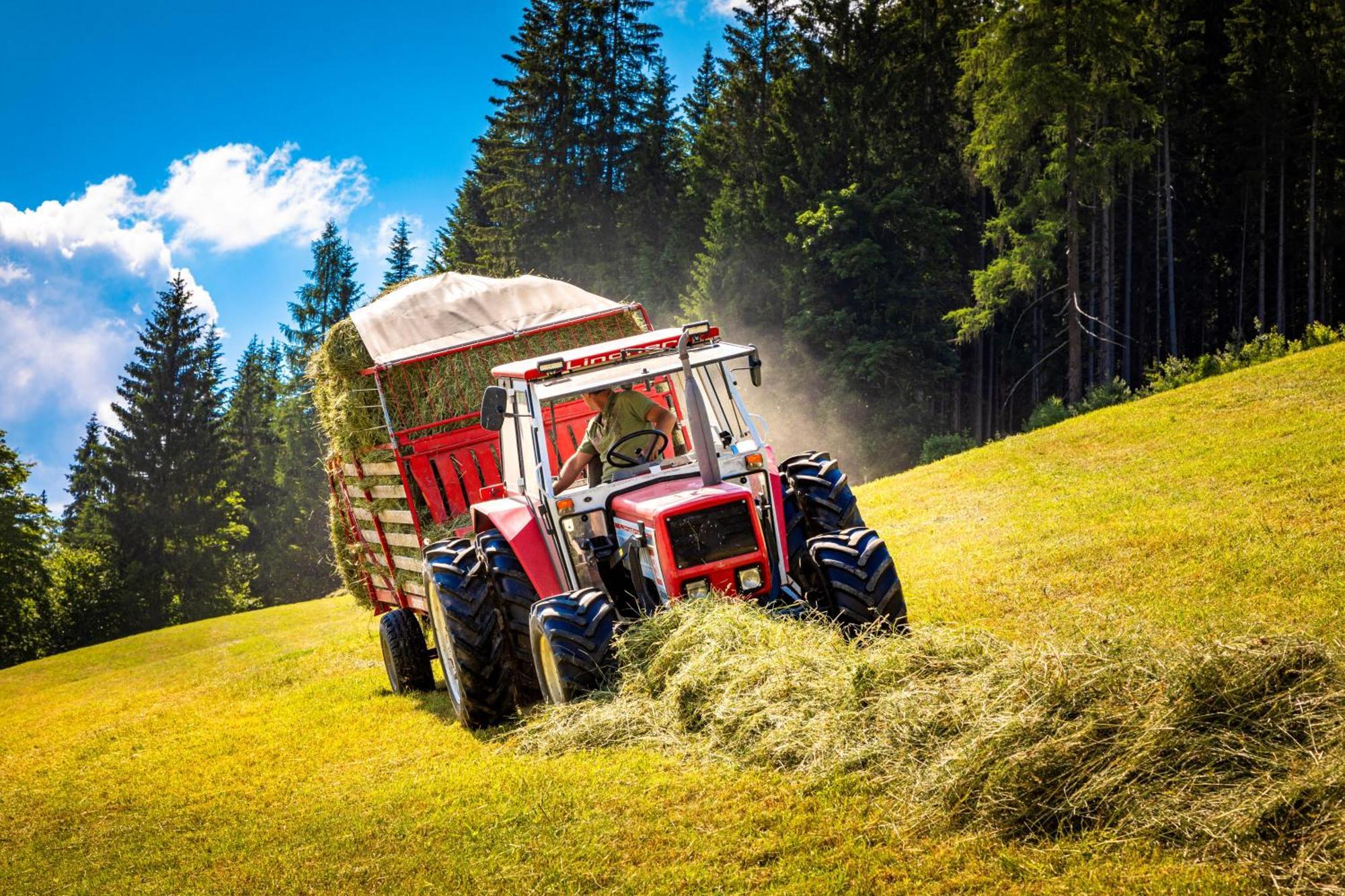 Gschwandtgut Urlaub Am Bauernhof Villa Schwemmberg Bagian luar foto