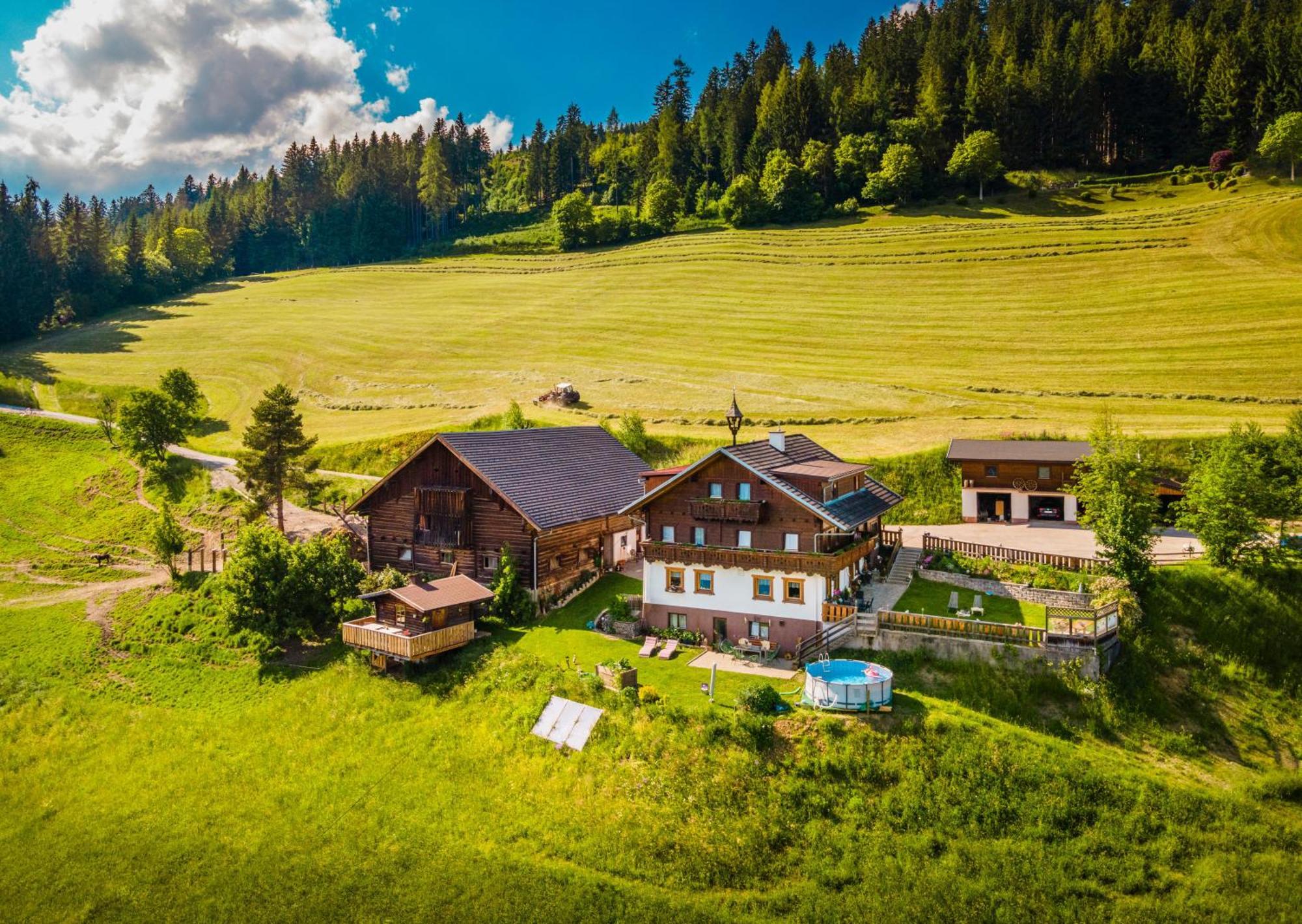 Gschwandtgut Urlaub Am Bauernhof Villa Schwemmberg Bagian luar foto